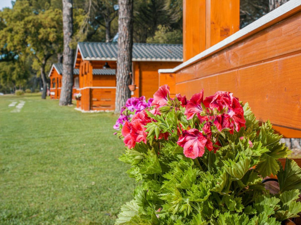Chalet do Lago Montargil Esterno foto